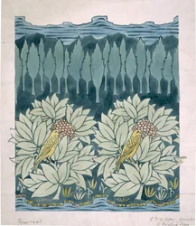 Uccelli con alberi di abete